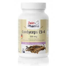 Cordyceps CS-4 Zein Pharma 120 kapsułek