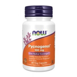 Pycnogenol NOW Foods 100mg - 60 wegetariańskich kapsułek